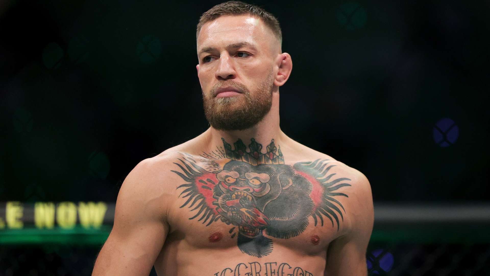 九游娱乐体育数据：邵佳一正式出任中国男足主教练一职